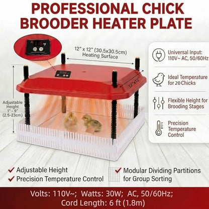 12"x12" Chick Brooder Heater Plate with 4 Cuttable Divider Panels - Adjustable Poultry Heater for 20 Chicks, Draft-Free Pen to Prevent Wandering, Safe Heat Lamp Alternative - color: 12"*12"