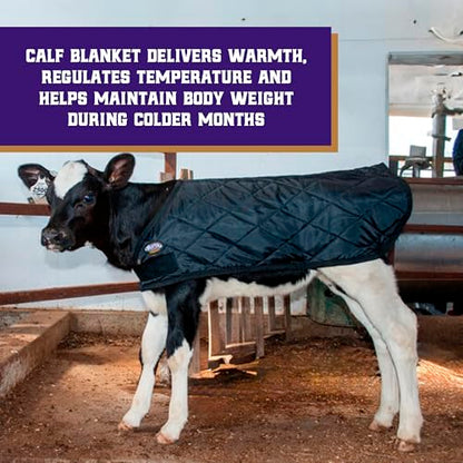 Weaver Livestock Warming Calf Blanket for Winter, Quilted Calf Coat with Buckle, Belly Protecting Livestock Shelter Blanket for Small Cattle