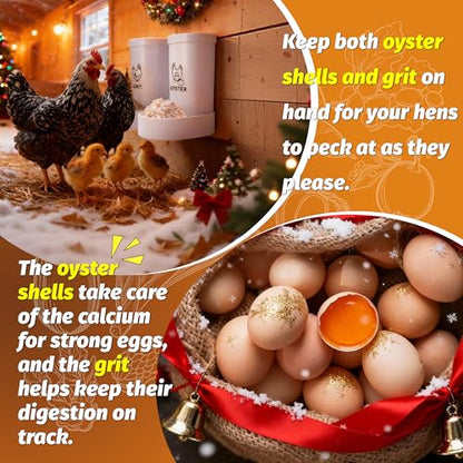 Chicken Grit and Oyster Shell Feeder, 2 Pack No Waste Hanging Chicken Feeder Combo, Waterproof ABS Automatic Gravity Poultry Feeder with Lid Rounded Edges, Coop Accessories for Healthier Hens and Eggs