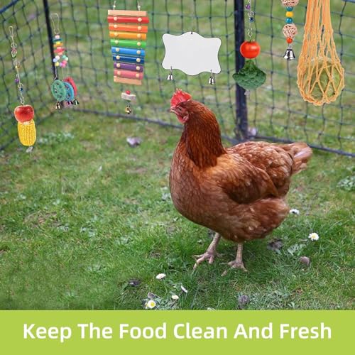 Chicken Coops Accessories 12PCS Chicken Toys Including Xylophone Swing Set Mirror Toy Flexible Ladder Vegetable String Bag and Hanging Feeder Coops Accessories for Hens