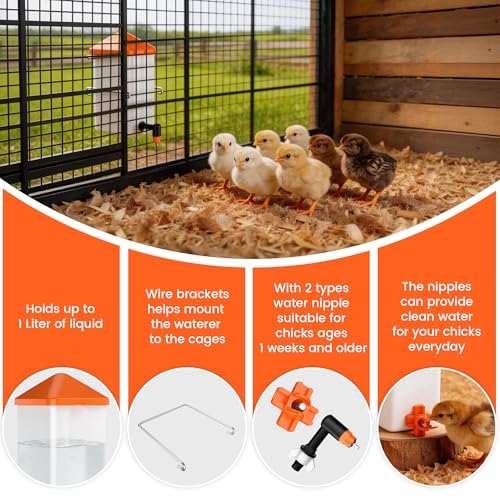 Eggluuz 1L Baby Chick Waterer with 2 Chicks Nipple Drinker and Anti-Roost Cone (Pack of 2)
