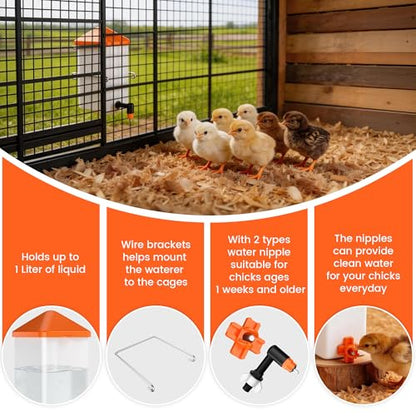 Eggluuz 1L Baby Chick Waterer with 2 Chicks Nipple Drinker and Anti-Roost Cone (Pack of 2)