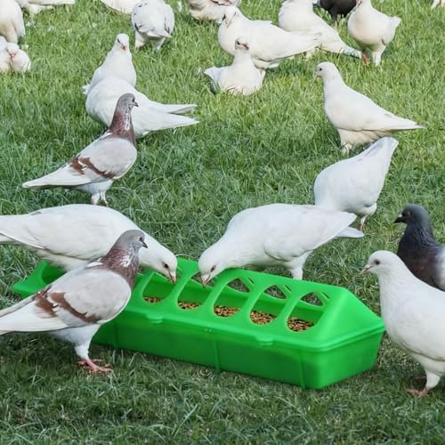 2 Pack Chick Feeder Waterer 16 Holes Chicken Feeder No Waste Poultry Feeder