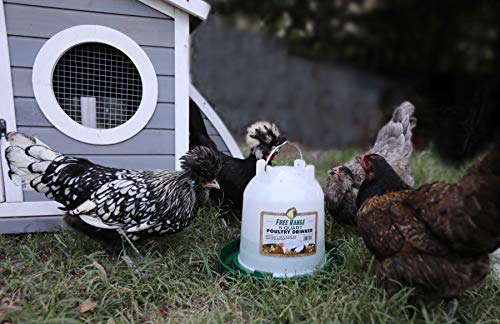 Harris Farms 1000261 Plastic Poultry Drinker, 5 Quart - size: 5 quart