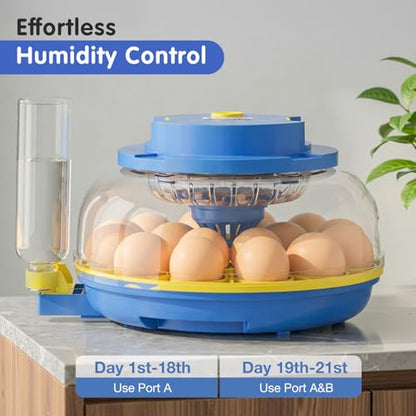 Chicken Egg Incubators for Hatching Eggs, 18 Egg Incubator with Automatic Egg Turning, Digital Control, 2 Egg Trays, Candler & Automatic Water Refill for Chicken Quail Duck Turkey Goose Bird - size: 18 Eggs