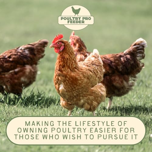 The Original Poultry Pro DIY Chicken Feeder Kit - Single Port Weatherproof - As Seen On Shark Tank, Gravity Fed Chicken Feeder, for Buckets, Bins & Troughs (Bucket & Hole Saw Not Included) - 1 Port - style: Original Feeder 1 Pack