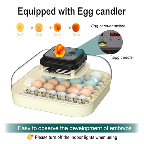 CoInceptus 35 Egg Incubator with Automatic Egg Turning and Humidity Control, Incubator for Chicken Eggs, Quail, Duck Eggs, with Egg Candler