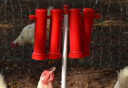 RentACoop Large Chicken Treat Dispenser 2025 Version - size: Large Red Tubes