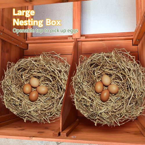 Automatic Chicken Coop for 2-4 Chickens with Solar Powered Door, Weatherproof Outdoor Chicken House with Timer & Light Sensor, Ventilated Design, 2 Nesting Boxes, Pull-Out Tray