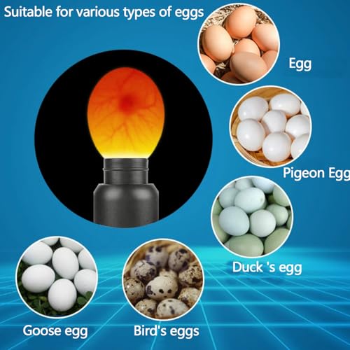 High Intensity Cool LED Egg Hatching Test Light Rechargeable Egg Candler Tester Egg Inspection Tool
