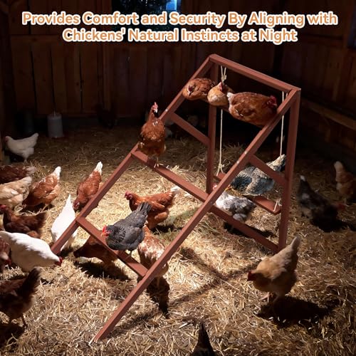 PETSFIT Wooden Chicken Roosting Bars for 8-10 Chickens – Multi-Level Design with 4 Roosting Bars &Swings, Durable Fir Wood for Outdoor Coops, Easy Assembly, Ideal for Backyard Farms - size: 51"L x 26.6"W x 38"H