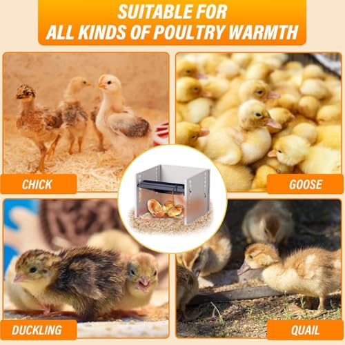 Upgraded Brooder Heater Plate, Adjustable Height & Temperature 10.8" X 10.4" Chick Brooder Heating Plate, Three-Sided Protection & Fast Heat Brooder Heater for 15 Chicks (Black)