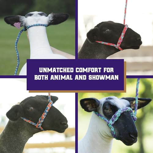 Weaver Livestock Braided Poly Rope Halter, 4 ft Modern, Adjustable, Soft Braid Sheep Halter, Livestock Equipment for Sheep, Goats - color: Blue/Mint/Gray