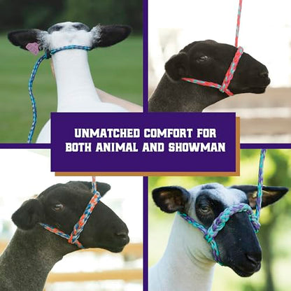 Weaver Livestock Braided Poly Rope Halter, 4 ft Modern, Adjustable, Soft Braid Sheep Halter, Livestock Equipment for Sheep, Goats - color: Blue/Mint/Gray