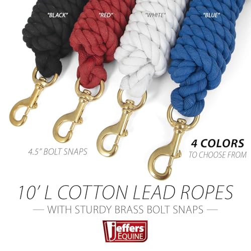 Jeffers Equine Twisted Cotton Horse Lead Rope with Brass Bolt Snap, 10" Long x 3/4" Thick, Equestrian Lead for Horses & Livestock, Training, Grooming, Stable, Barn, Ranch & Trailer Use - Blue