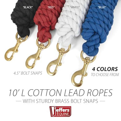Jeffers Equine Twisted Cotton Horse Lead Rope with Brass Bolt Snap, 10" Long x 3/4" Thick, Equestrian Lead for Horses & Livestock, Training, Grooming, Stable, Barn, Ranch & Trailer Use - Blue