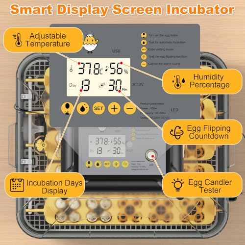 25 Egg Incubator for Hatching Eggs with Automatic Egg Turning, Temperature & Humidity Display, Hatch Day Countdown, Auto Water Refilling System, Egg Candler, Multifunctional Egg Tray for Chicken - size: M- 25 Chicken Eggs