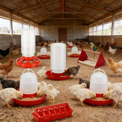 Easy to Chicken Feeder Waterer Set with Individual Feeding Holes Great for Farm or Home Use Chick Starter Set - color: A