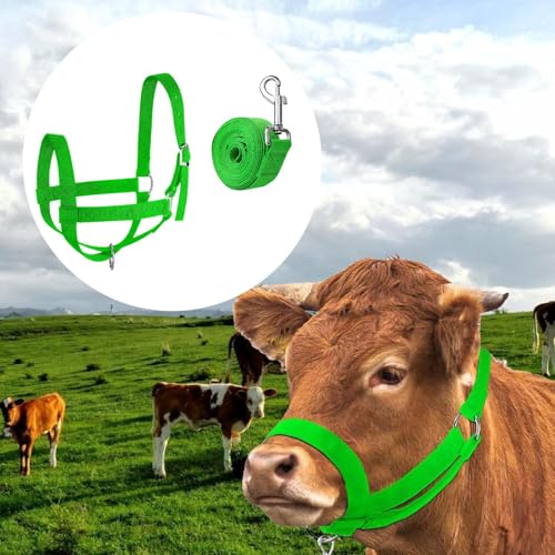kowaku Nylon Cow Halter Harness Livestock Heavy Duty Practical Wide Adjustable Training Supplies Goat Cow Nylon Cattle Cattle Halter