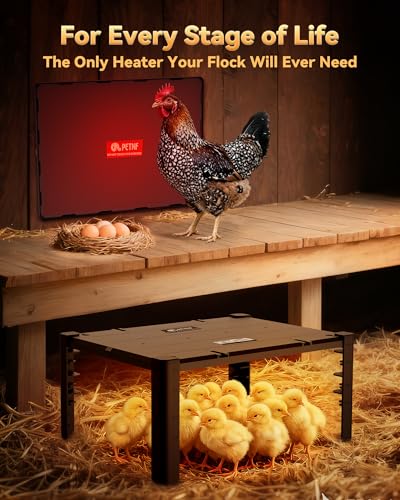 PETNF Chicken Coop Heater & Chick Heat Plate - 11.8x15.8in for Hen Warmth & 10-20 Chicks, 3-Way Adjustable Stand, 95-167°F 140W Efficient Heating, Durable Safe for Brooders/Coops, Farmers & Pet Owners
