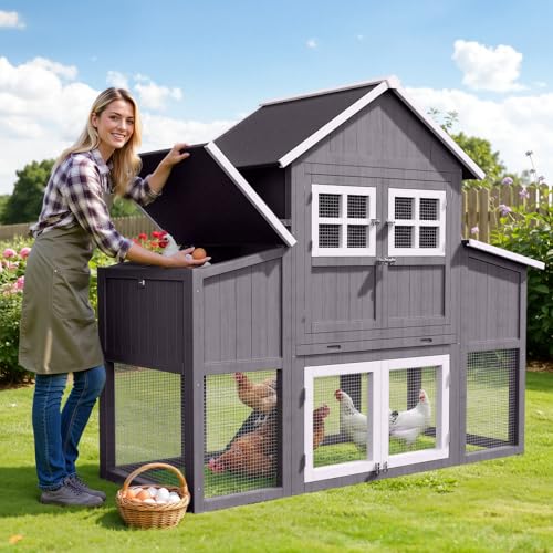 Large Chicken Coop for 6-10 Chickens, Outdoor Predator Proof Wooden Hen House Design with 2 Nesting Boxes and Weatherproof Roof, Easy to Clean Poultry Cage for Outsides