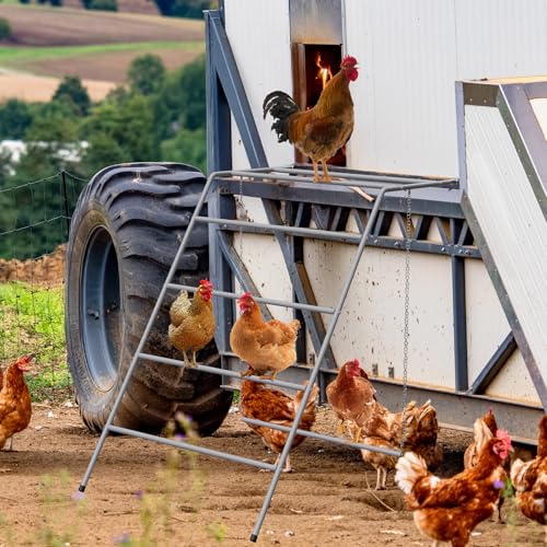 Chicken Perch for Coop 4 Step Chicken Roosting Bars with Swings, Metal Poultry Roost Ladder for Hens, Chickens & Poultry, Gray