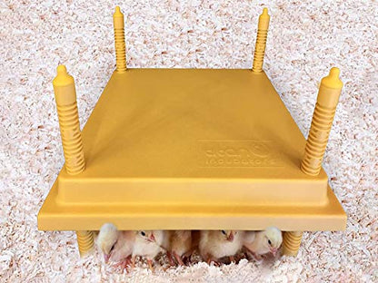 Titan Chick Heating Plate/Brooder Hen Heat Lamp Replacement - Up to 25 Chicks 12" x 12" - 20W