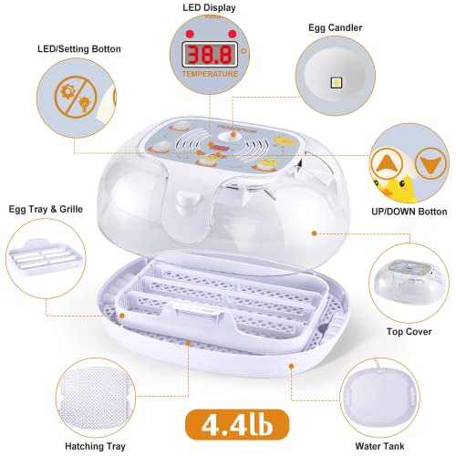 Egg Incubator with Automatic Egg Turner, Temperature Control, and Egg Candle Function - Perfect for Hatching Chicken, Duck, and Turkey Eggs at Home or on The Farm