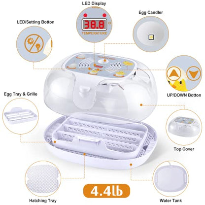 Egg Incubator with Automatic Egg Turner, Temperature Control, and Egg Candle Function - Perfect for Hatching Chicken, Duck, and Turkey Eggs at Home or on The Farm