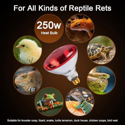Infrared Heat Lamp for Chickens, 250 Watts Red Heat Lamp Bulb, Heat Light Bulb for Brooder Coop, Food Service, Chicks, Pet, Reptile, 1 Pack - size: 1 Count (Pack of 1)