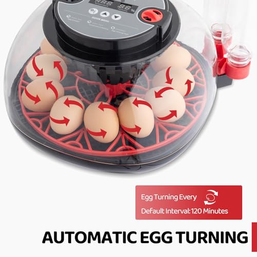 Winado Incubators for Hatching Eggs, 12 Egg Incubator with Auto Water Replenishment & Automatic Egg Turning & Temperature Control, Egg Candler, Duck, and Quail Eggs Hatching