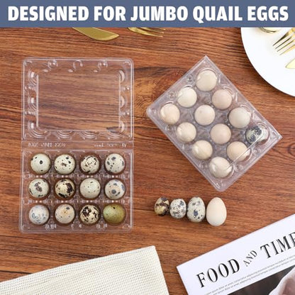 Remerry 120 Pcs Giant Quail Egg Cartons 12 Grids Clear Plastic Stackable Trays for Jumbo Quail Eggs, Pigeon Eggs, Small Poultry, Great for Home Fridge Storage, Farm, Market, Gift Box Packing