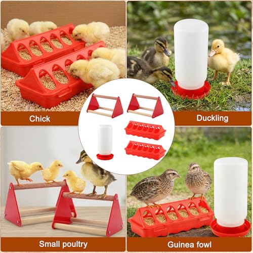 5-Pack Chick Feeder and Waterer, Baby Poultry Starter Set with 2 Feeder Troughs, 1L Waterer & 2 Wooden Perches, Small Chick Brooder Accessories for Chicken, Duck & Quail