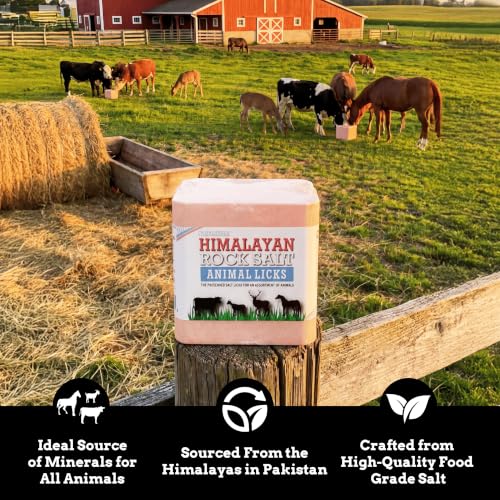 Salt Block for Deer & Horses – Compressed Mineral Salt Lick for Livestock, Cattle & Goats – Himalayan Secrets Pink Rock Salt Block (11LB/5KG, Block w/ Mounting Hole) - size: 11 Pound (Pack of 1)