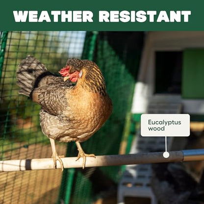 Omlet Chicken Perch | Eucalyptus Wood Roosting Bar for Poultry Runs | Weather-Resistant Outdoor Chicken Perch with Innovative Bracket Design | Fun and Durable Hen Accessory | 3ft - size: 3ft
