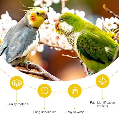 Open Bird Foot Ring, Aluminum Alloy Split Bird Leg Ring for Parrots,Hibiscus,Peonies,Pigeons (7.0mm,50pcs) - color: ID7.0, size: Open