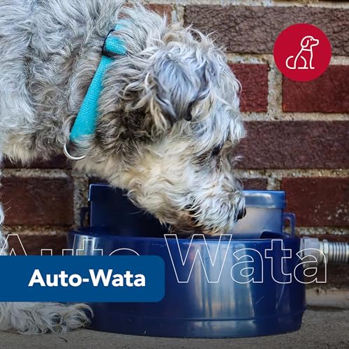 Coastal Pet Bergan Auto-Wata - Outdoor Dog & Cat Water Dispenser - Automatic Water Bowl for Pets - Made from Durable, BPA-Free Plastic - Self-Watering Cat & Dog Bowl - Navy, 48 Ounces
