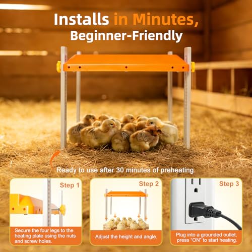 Chick Brooder Heating Plate, Briidea 80W Brooder Heater with 110–130℉ Constant Heat, Energy-Efficient, Adjustable Height & Angle, 10 PET Cleaning Film, Warmth Like Hen, 10" x 10" for 15 Small Poultry - color: Straight support