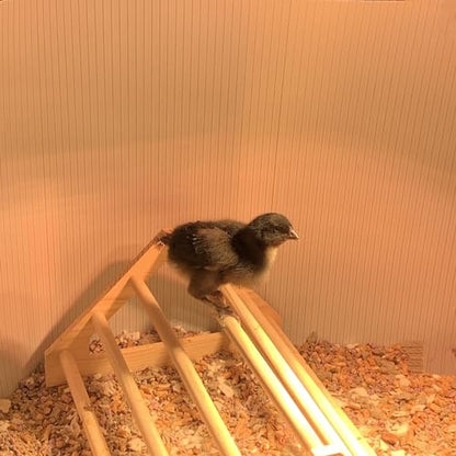Chick Perch Chicken Coop Toys and Accessories,Chick Roosting Bar,Brooder for Baby Chicks,Strong Wooden Bird Perch. (Style 2, 14.4" x 10.7" x 6.7) - color: Style 2