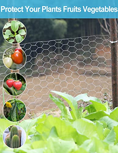 TOYPOPOR Chicken Wire 16'' x 600''(40cm x 15m), Outdoor Anti-Rust Hexagonal Galvanized Chicken Wire Mesh Fencing to Protect Gardening Plants Vegetables Flowers Fruits From Dogs Rabbits Squirrels, 49ft - size: 16 in x 49 ft (100 Ties)
