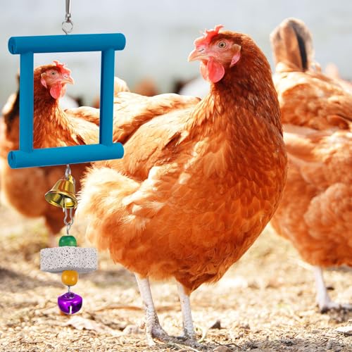 Sumind 2 Pieces Chicken Mirror Toys Hanging Swing Mirror with Bell Wooden Pecking Toy and 4 Pieces Beak Grinding Molar Stones for Hens Birds Parrots(Blue, Yellow) - color: Blue, Yellow