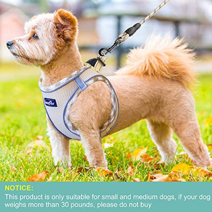haapaw Dog Harness with Leash Set, No Pull Adjustable Reflective Step-in Puppy Harness with Thickened Padded Vest for Extra-Small/Small Medium Dogs - color: Beige, size: S