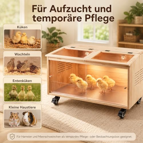 Brooder Box for Chicks, Premium Wooden Chicken Brooder Box with Heat Lamps, Thermostat & Locking Casters, Indoor Chick Brooder Box for Ducklings, Quail and Dwarf Hamster (40x20x20 in) - size: 40.0"L x 20.0"W x 20.0"H