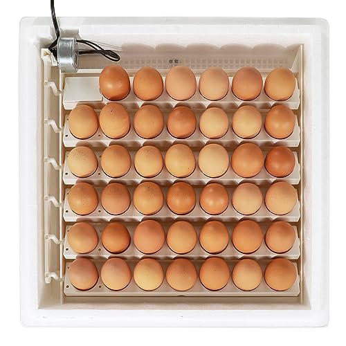 Farm Innovators Egg Incubator with Automatic Egg Turning & Humidity Control, Egg Candler w/Digital LCD Display for Improved Hatching, 4 Pack, White