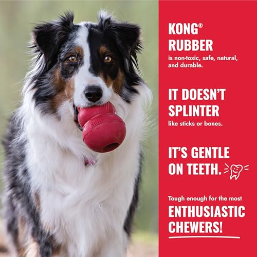 KONG Ball with Hole - Durable Dog Fetch Toy for Training, Interactive Playtime & More - Classic Natural Rubber Ball - Red - for Large/X-Large Dogs - size: Large