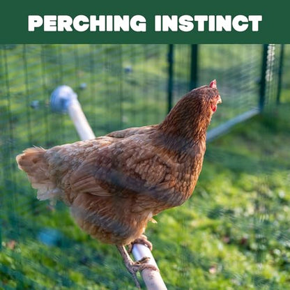Omlet Chicken Perch | Eucalyptus Wood Roosting Bar for Poultry Runs | Weather-Resistant Outdoor Chicken Perch with Innovative Bracket Design | Fun and Durable Hen Accessory | 3ft - size: 3ft