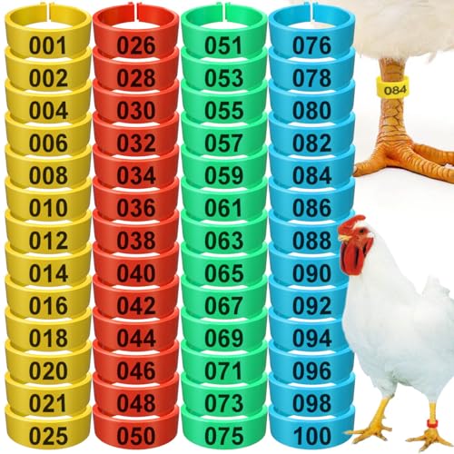 Hispqser® 100Pcs Chicken Leg Bands, Multiple Color Poultry Identification Leg Rings Chicken Supplies Clip On Chicken Ankle Tags Numbered Feet Id Bands for Pekin Duck, Chickens, Goose (0.63" Diameter)