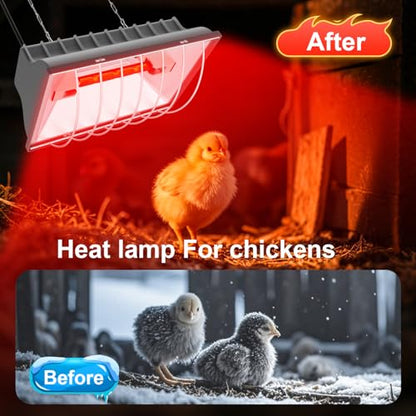 2 PACKS Chicken Coop Heater, Aluminum Brooder Heater Lamp for 30 Chicks or Duckling, 4*250 Watts Heating Plate Lamp Tube with 2 Adjustable Temperature & 8 feet Iron Chain for Amphibians Livestock, Pet - color: Grey-2Pack