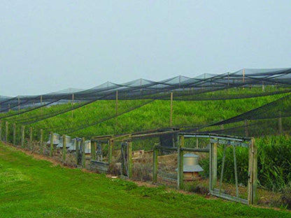 Stromberg's 1" Knotted Netting, Game Bird Netting for Pheasants & Quails, Heavy Duty, Chicken Coops, Gardening, UV-Resistant, 85 lb. Break Strength, 25'x25' - style: 1" Netting - 25' x 25'