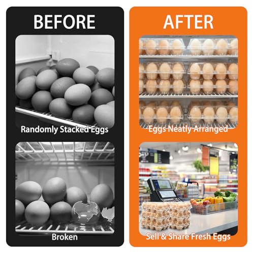 100 Pack 3x4 Plastic Egg Cartons Bulk 12 Count Clear, Reusable Stackable Dozen Chicken Eggs Containers Holders for Storage, Family, Farm Markets and Commercial Display - size: 3x4 Grid